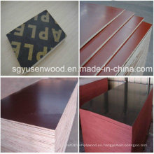 1220 * 2440mm WBP Constuction Film Faced Plywood